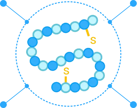 The advantages of peptides. (Creative Biolabs Original) 