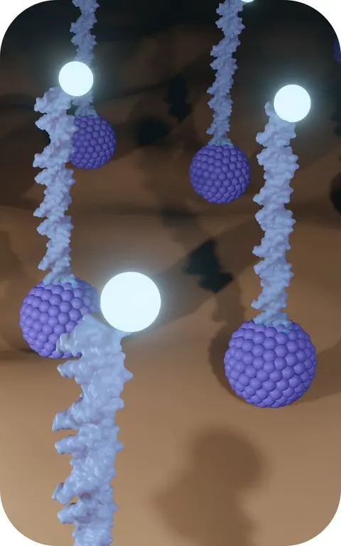 Applications of our advanced liposome. (Creative Biolabs Authorized)