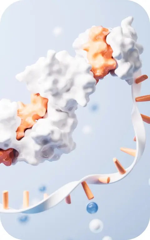 Applications of our advanced aptamer. (Creative Biolabs Authorized)