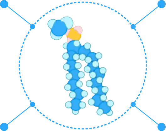 The advantages of functionalized lipids. (Creative Biolabs Original) 