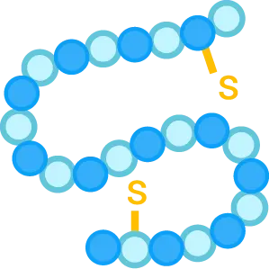 Targeting module-peptide. (Creative Biolabs Original)