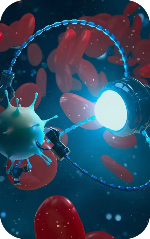 Applications of our advanced targeting modules. (Creative Biolabs Authorized) 