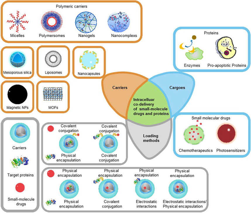 Schematic illustration of existing therapeutic proteins, small-molecule drugs, major categories of co-delivery systems, and commonly used loading/encapsulation strategies. (OA Literature)