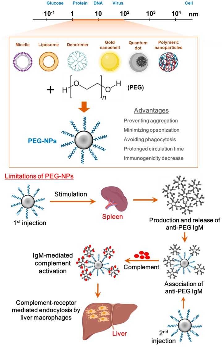 Schematic of different materials at the nanoscale. (OA Literature)