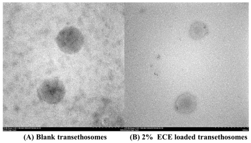 Fig.4 Morphology of transethosomes by TEM. (Soradech, Sitthiphong, et al., 2024)