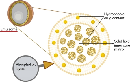 Fig.1 Schematic of structure of emulsome. (OA Literature)
