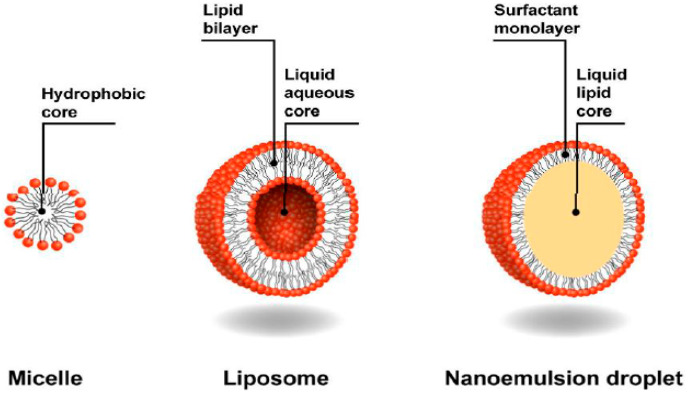 Fig.1 Schematic of composition of the micelle, liposome and nanoemulsion droplet. (OA Literature) 