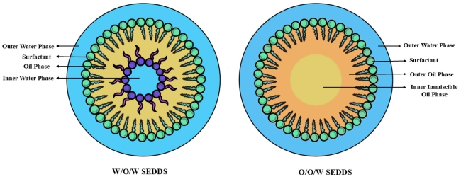 Fig.1 Schematic representation of a self-double-emulsifying drug delivery system. (OA Literature)