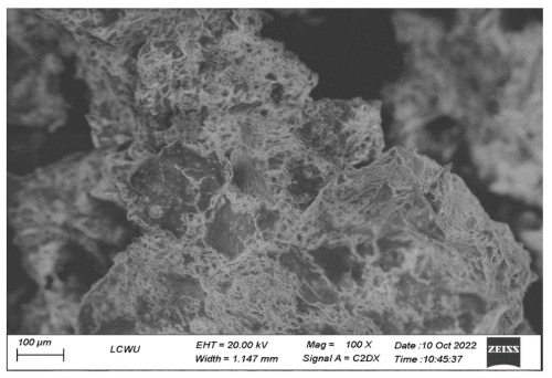 Fig.4 Design and Evaluation of Hydrophobic Ion Paired Insulin Loaded Self Micro-Emulsifying Drug Delivery System for Oral Delivery. (Mudassir, Jahanzeb et al., 2023)