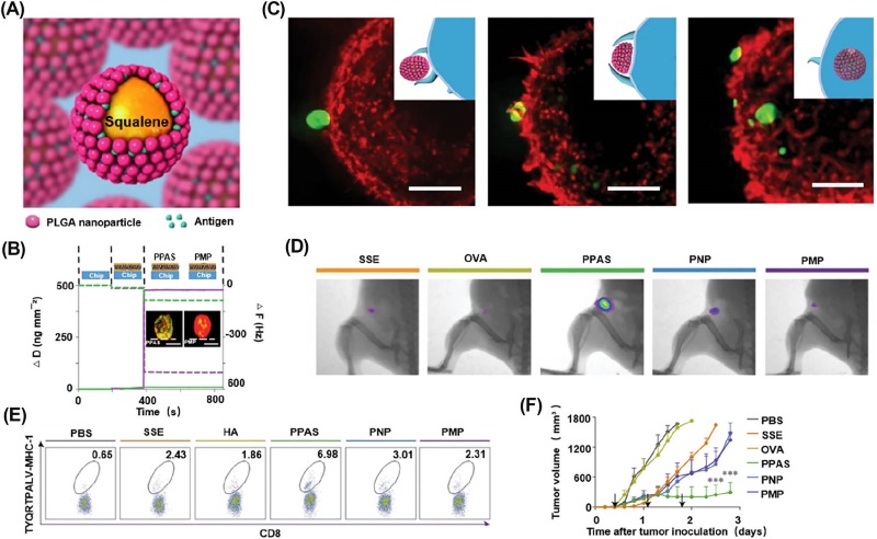Fig.1 Schematic of Pickering emulsion-based tumor immunotherapy. (OA Literature)