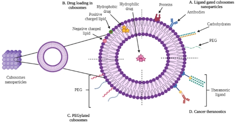 Fig.1 Schematic of cubosomes exhibiting internal and cubic structures with potential of drug delivery. (OA Literature)