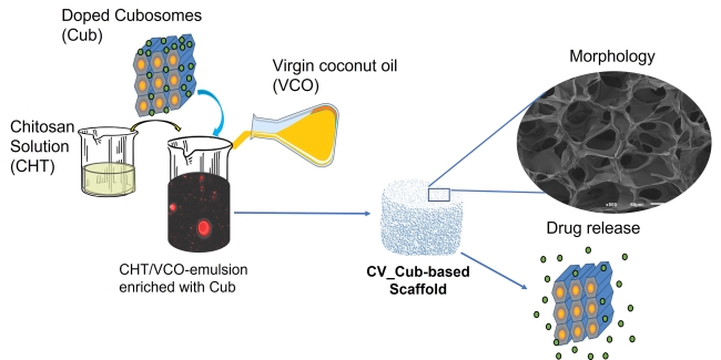 Fig.3 Chitosan/Virgin-Coconut-Oil-Based System Enriched with Cubosomes. (Silva, Simone S et al. 2023)