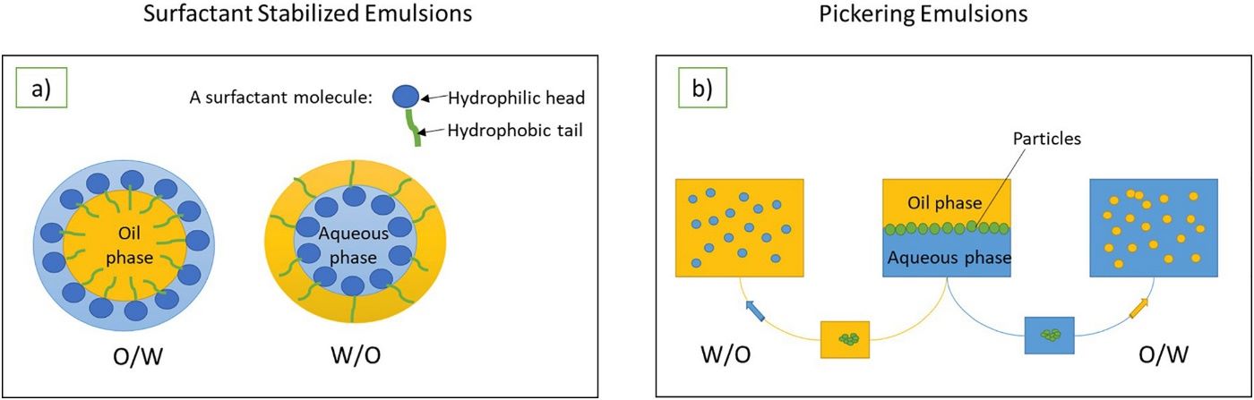 Side-by-side comparison of surfactant-stabilized emulsions (a) and Pickering emulsions (b). Part (a) shows surfactant molecules with hydrophilic heads and hydrophobic tails stabilizing oil-in-water (O/W) and water-in-oil (W/O) emulsions. Part (b) illustrates solid particles adsorbing at the oil-water interface to form W/O and O/W Pickering emulsions, highlighting the particle-based stabilization mechanism. (OA Literature)