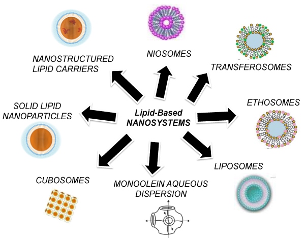 Fig.1 Schematic representation of LBNs. (OA Literature)
