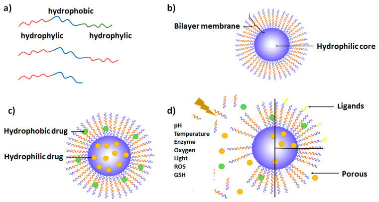 Fig.1 Schematic of polymersome. (OA Literature)