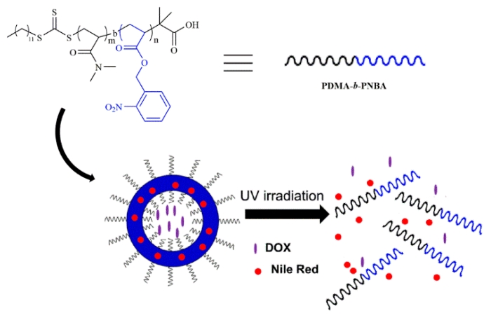 Fig.3 Photo-Responsive Polymersomes as Drug Delivery System for Potential Medical Applications. (Hou, Wanting et al., 2020)