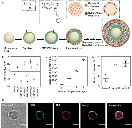 Fig.1 Schematic of multilayer assembly of capsosomes. (OA Literature)