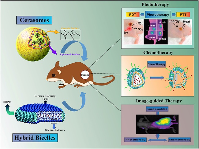 Fig.1 Schematic of cerasomes and bicelles with silica-like surface in cancer theranostics. (OA Literature)