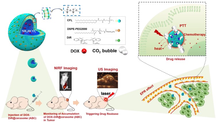 Fig.3 Bubble-Manipulated Local Drug Release from a Smart Thermosensitive Cerasome for Dual-Mode Imaging Guided Tumor Chemo-Photothermal Therapy. (Sun, Suhui et al., 2019)