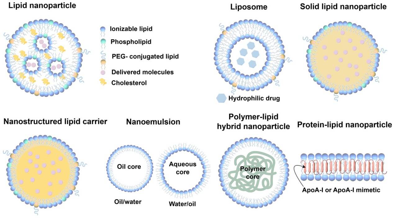 Illustration of different types of lipid nanoparticles. (OA Literature)