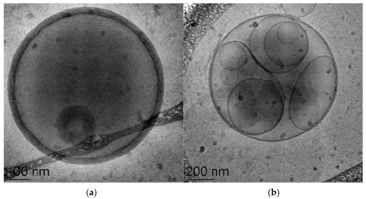 Fig.3 A Oral Delivery of Lipophilic Drugs. (Sguizzato, Maddalena et al., 2023)