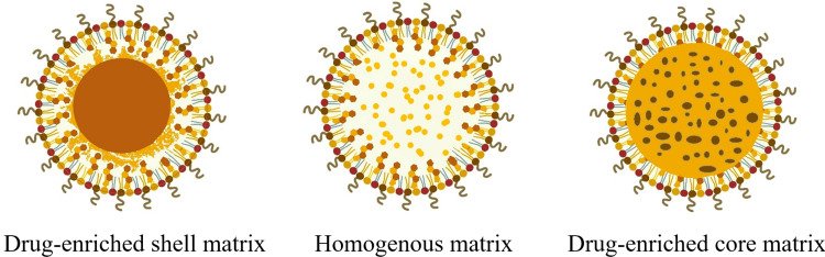 Fig.1 Schematic of solid lipid nanoparticles. (OA Literature)