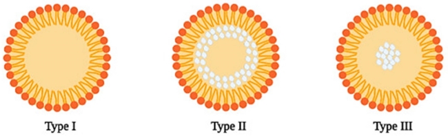 Fig.2 Structure of the 3 different types of SLN. (Viegas, Cláudia et al., 2023)