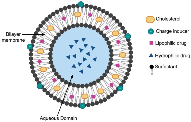 Fig.1 Schematic of structure of niosomes. (OA Literature)
