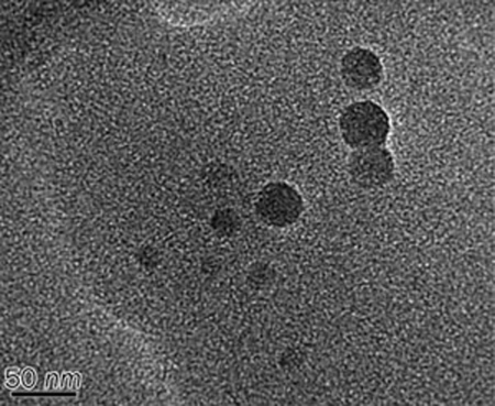 Fig.2 Enhancing Oral Bioavailability. (Chu, Chang et al., 2011)