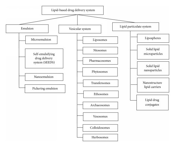 Classification of lipid-based drug delivery systems: A hierarchical diagram categorizing them into three main categories—Emulsion (including Microemulsion, Self-emulsifying drug delivery system (SEDDS), Nanoemulsion, Pickering emulsion), Vesicular system (including Liposomes, Niosomes, Pharmacosomes, Phytosomes, Transfersomes, Ethosomes, and more), and Lipid particulate system (including Lipospheres, solid lipid microparticles, solid lipid nanoparticles, nanostructure lipid carriers, lipid drug conjugates). (OA Literature)