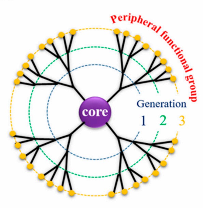Diagram illustrating dendrimer structure, showing a central core, branching generations (labeled 1, 2, 3), and peripheral functional groups. (OA Literature)