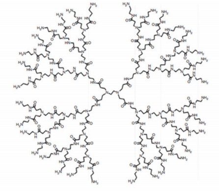 Chemical structure of PAMAM dendrimers, showcasing their ethylenediamine core, repetitive amide/amine branching, and terminal amine groups—critical for nucleic acid binding and surface modification in drug delivery. (OA Literature)