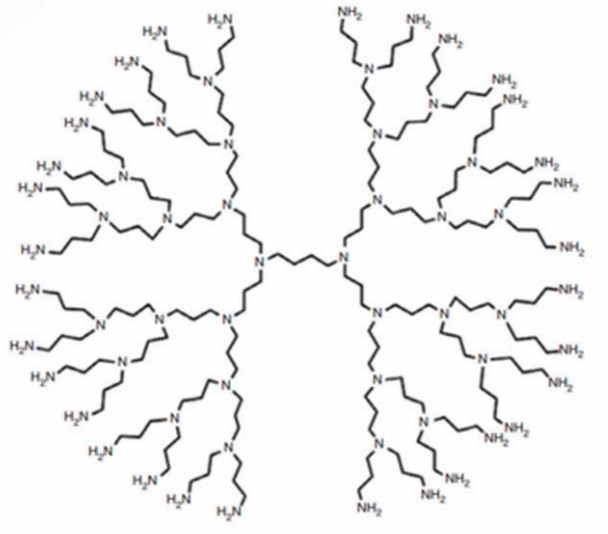 Chemical structure of PPI dendrimers, highlighting their diaminobutane core, highly branched cationic architecture, and terminal amino groups—key for gene delivery and materials science applications. (OA Literature)