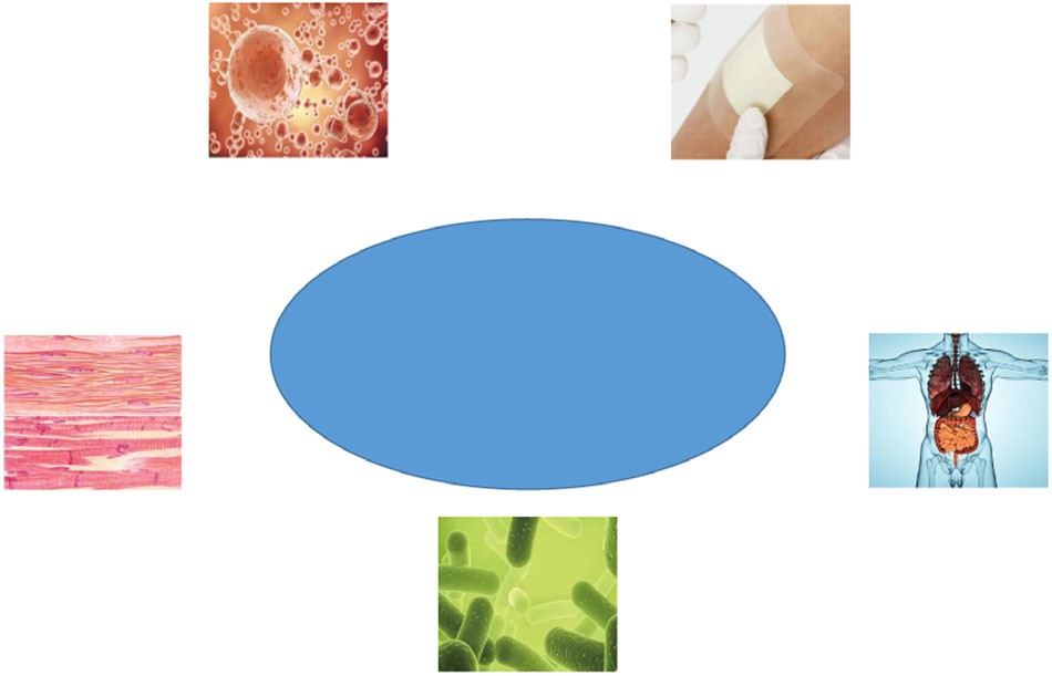 Illustration showcasing the applications of polymeric nanofibers for drug delivery, including blood release, wound dressings, disease treatment, antibacterial effect, and tissue regeneration, with corresponding images for each application. (OA Literature)