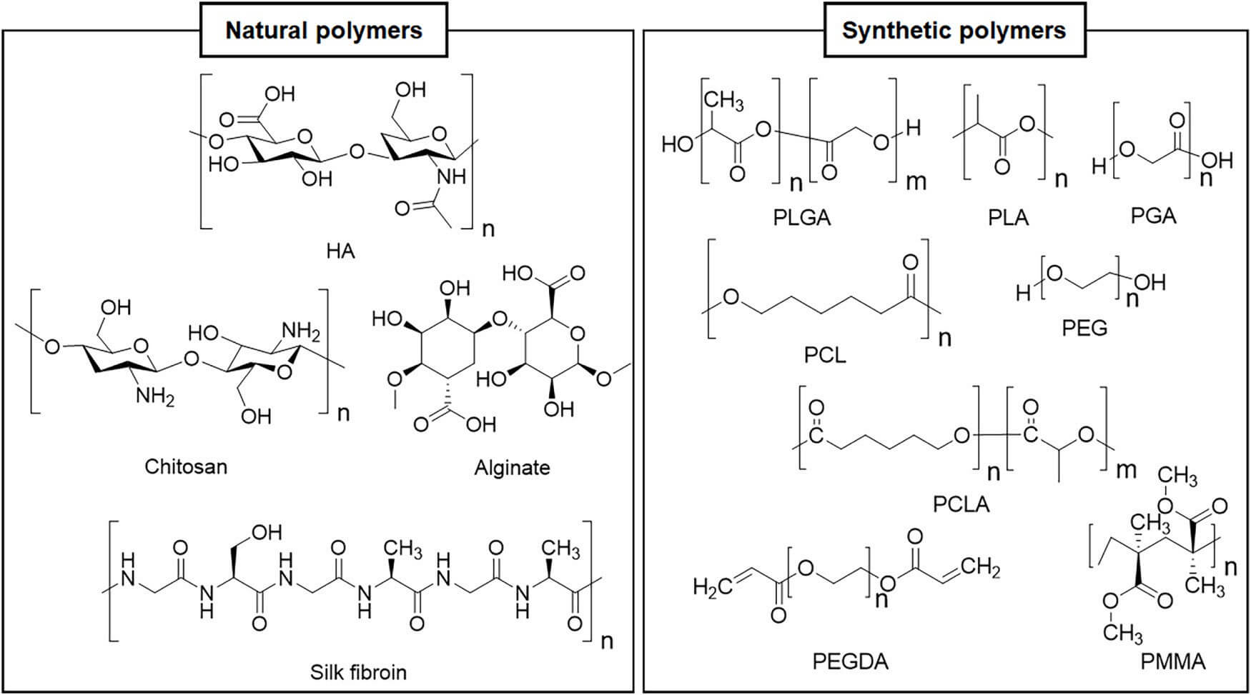 Diagram showing chemical structures of natural and synthetic polymers commonly used in microsphere fabrication, including HA, chitosan, alginate, silk fibroin, PLGA, PLA, PGA, PCL, PEG, PCLA, PEGDA, and PMMA.. (OA Literature)