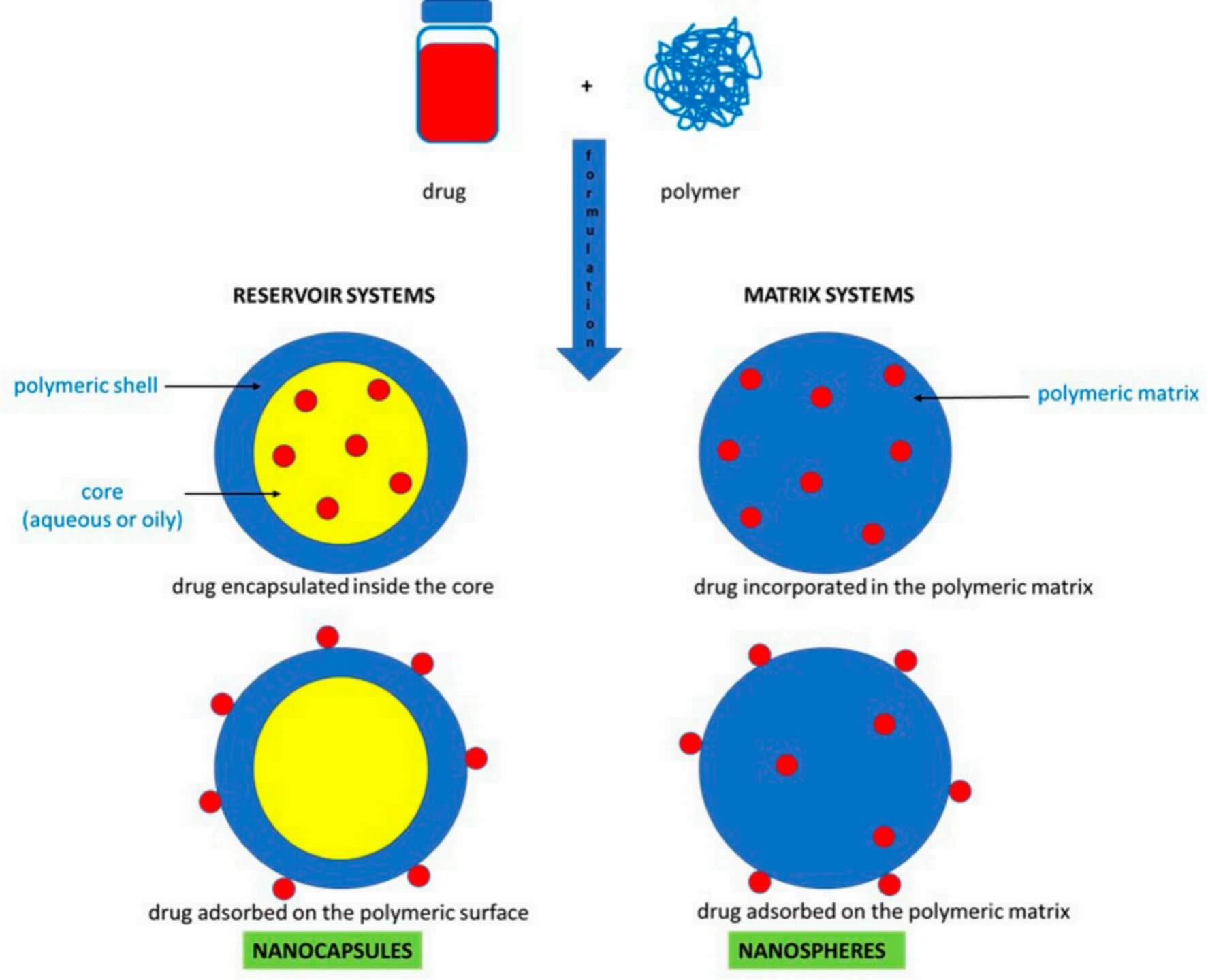 Illustration of the two types of polymeric nanoparticles (PNPs) based on composition. It compares reservoir systems (nanocapsules) and matrix systems (nanospheres). In reservoir systems, the drug is encapsulated within an aqueous or oily core surrounded by a polymeric shell or adsorbed on the surface. In matrix systems, the drug is either incorporated within or adsorbed on the polymeric matrix. (OA Literature)