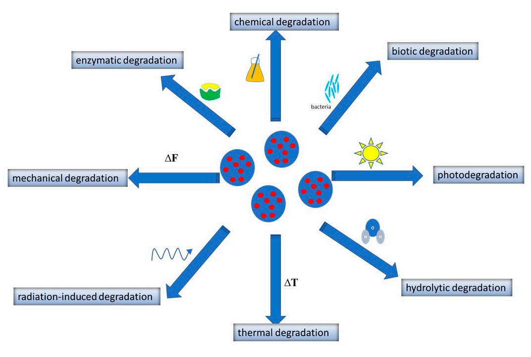Diagram showing various mechanisms of polymeric nanoparticle (PNP) degradation, including chemical, biotic, photodegradation, hydrolytic, thermal, radiation-induced, mechanical, and enzymatic degradation. Arrows indicate environmental or physical factors—such as light, heat (ΔT), force (ΔF), enzymes, and bacteria—that contribute to nanoparticle breakdown. (OA Literature)