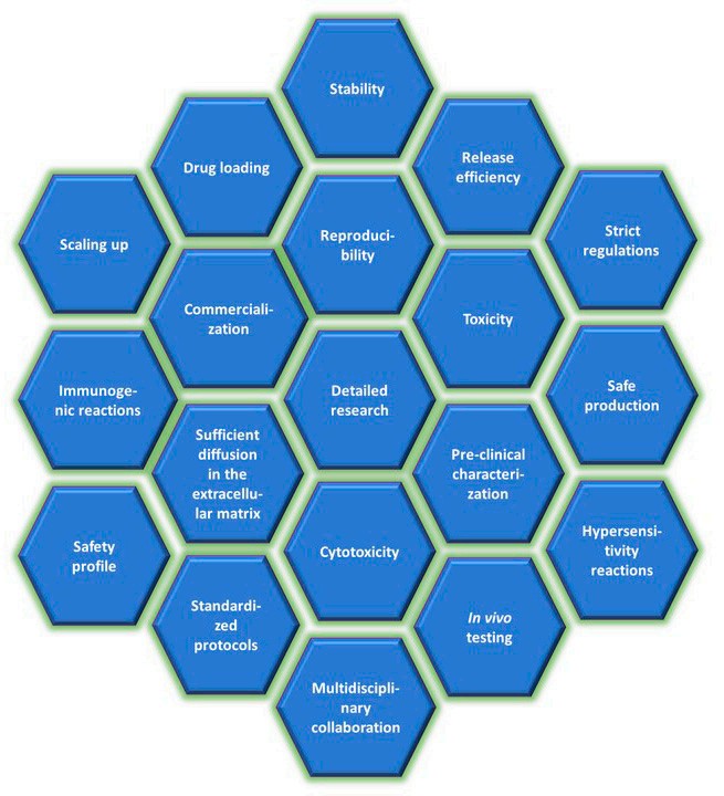 Diagram illustrating key challenges in the biomedical application of polymeric nanoparticles (PNPs), including issues of stability, drug loading, release efficiency, reproducibility, toxicity, cytotoxicity, immunogenic and hypersensitivity reactions, pre-clinical characterization, safety, commercialization, scaling up, regulatory compliance, standardized protocols, sufficient diffusion in the extracellular matrix, and the need for detailed research, in vivo testing, and multidisciplinary collaboration. (OA Literature)