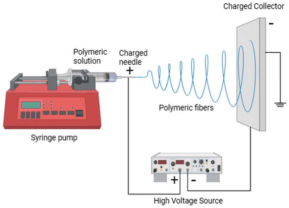 Illustration of the production of electrospun polymeric nanofibers—syringe pump delivers polymer solution through a positively charged needle; high voltage spins fibers onto a grounded negative collector. (OA Literature)