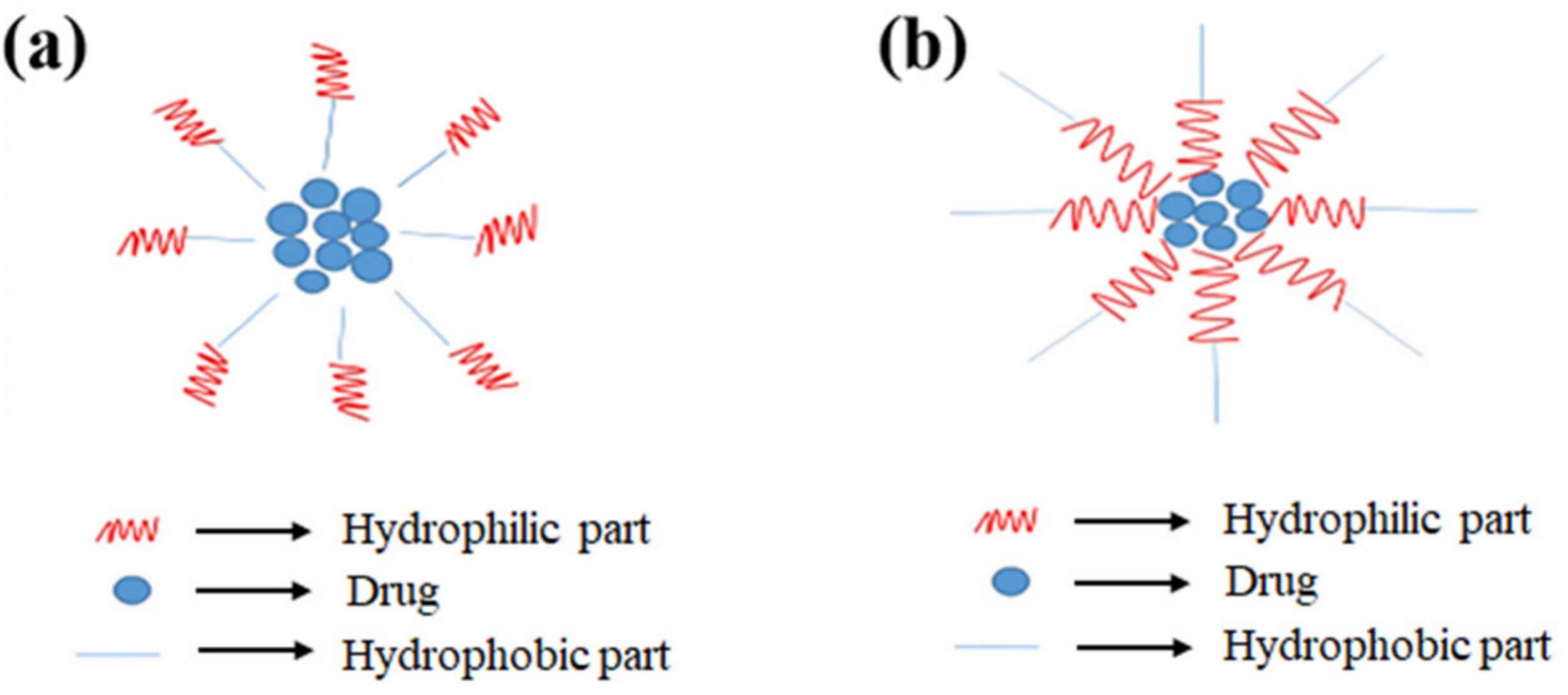 Diagram illustrating the classification of micelles based on structure for micelle-based targeted delivery. (a) Regular micelles with hydrophobic cores encapsulating drug molecules and hydrophilic shells. (b) Reverse micelles with hydrophilic cores surrounded by hydrophobic chains. (OA Literature)
