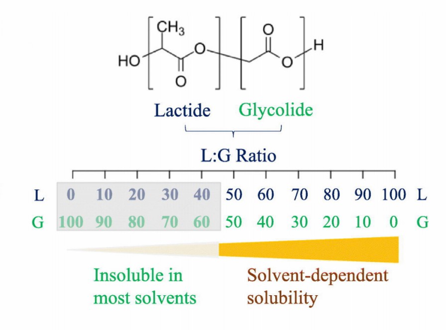 Diagram showing PLGA’s chemical structure with lactide and glycolide segments, plus a scale of lactic: glycolic (L: G) ratios and how they influence solubility—from insoluble in most solvents to solvent-dependent solubility—key for formulating PLGA-based drug delivery systems. (OA Literature)