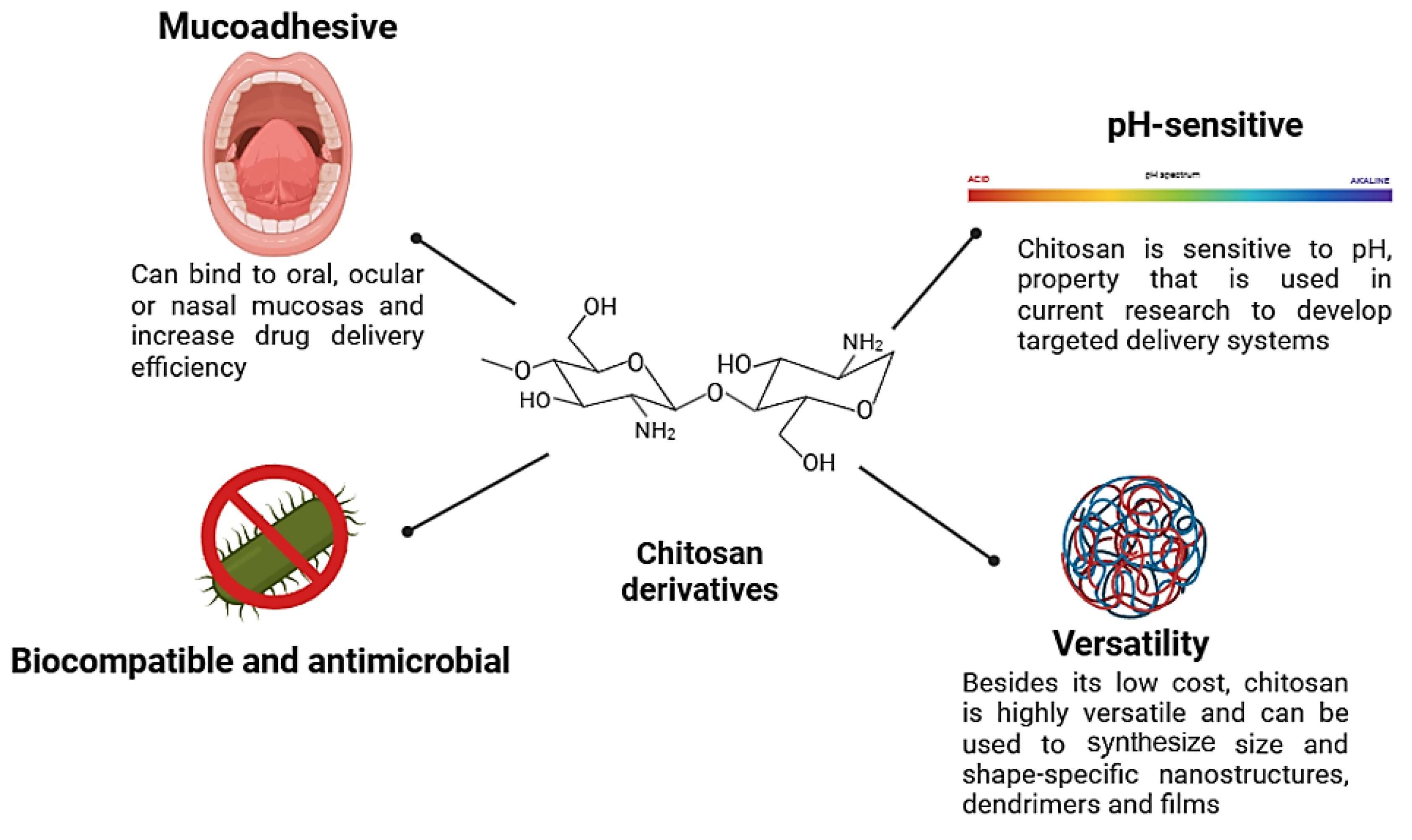 Illustration highlighting the characteristics of chitosan derivatives in drug delivery systems, including mucoadhesive (binds to oral/ocular/nasal mucosas for enhanced drug delivery), pH-sensitive (enables targeted delivery), biocompatible and antimicrobial (inhibits microbes), and versatility (synthesizes various nanostructures, films, etc.). (OA Literature)