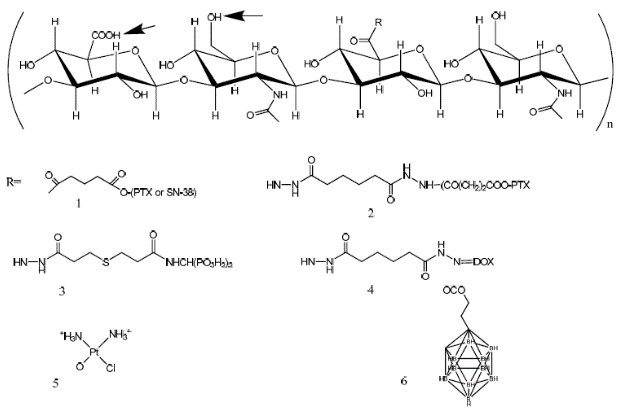 Illustration of Hyaluronic Acid (HA) and small molecule conjugates: Depicts HA’s molecular structure with conjugations to chemotherapeutics (PTX, SN-38, DOX), targeting moieties, and functional groups, highlighting chemical strategies for HA-based targeted drug delivery in cancer therapy.