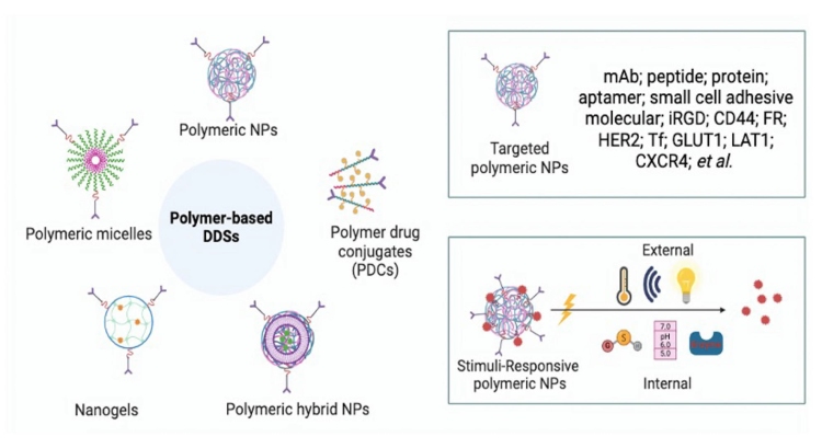 Fig.1 Schematic of polymer-Based Drug Delivery Systems. (OA Literature)