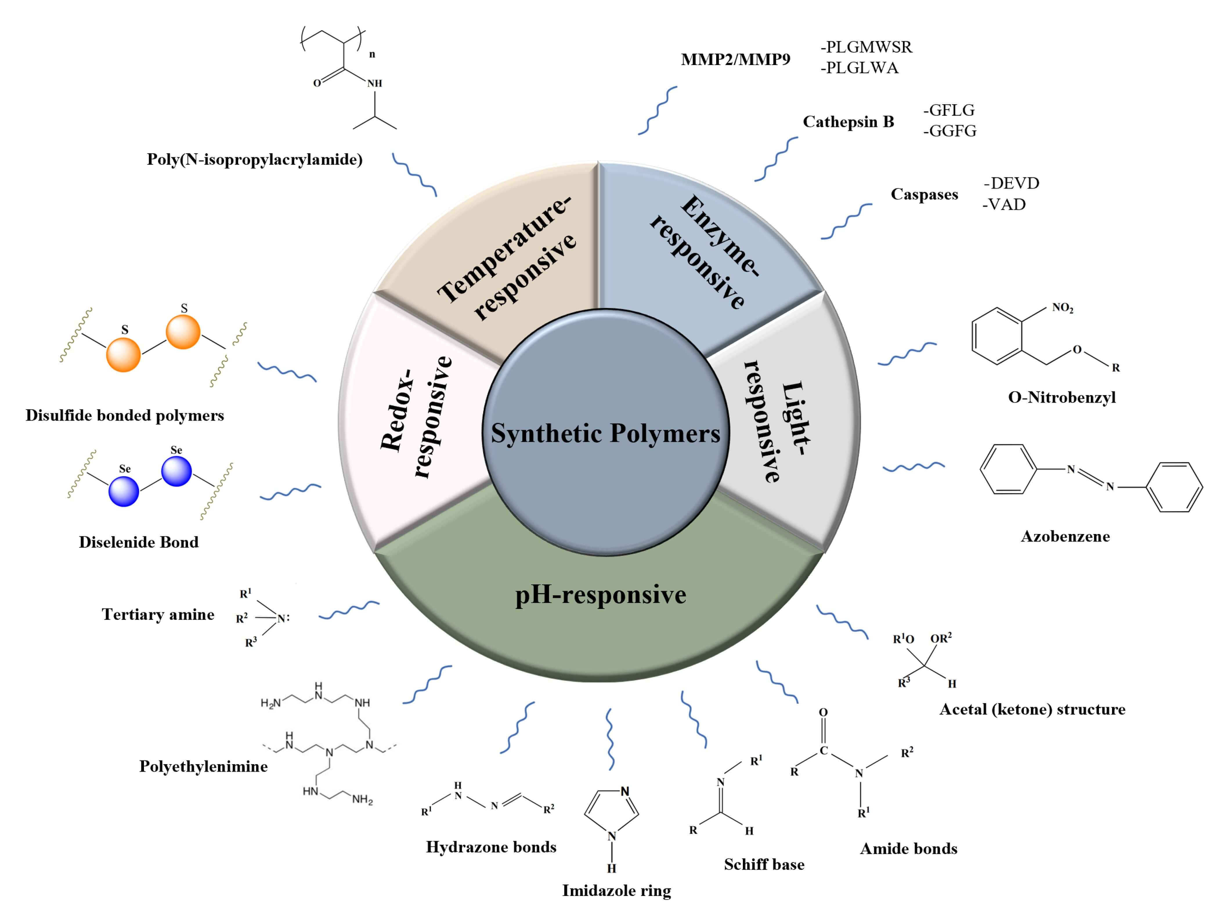 Diagram showcasing stimuli-responsive synthetic polymers categorized into temperature-responsive, enzyme-responsive, light-responsive, pH-responsive, and redox-responsive types, with chemical structures and examples for polymer-based drug delivery strategies in modern therapeutics. (OA Literature)