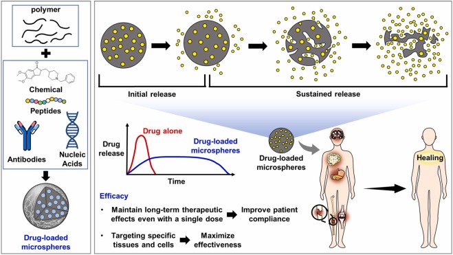 Illustration explaining the mechanism of microsphere-based drug delivery: Shows how polymers, chemicals, peptides, antibodies, or nucleic acids form drug-loaded microspheres, which enable initial and sustained drug release. Compares drug release kinetics (drug alone vs. microspheres), highlights efficacy benefits like long-term therapeutic effects, tissue targeting, improved patient compliance, and how they facilitate healing. (OA Literature)