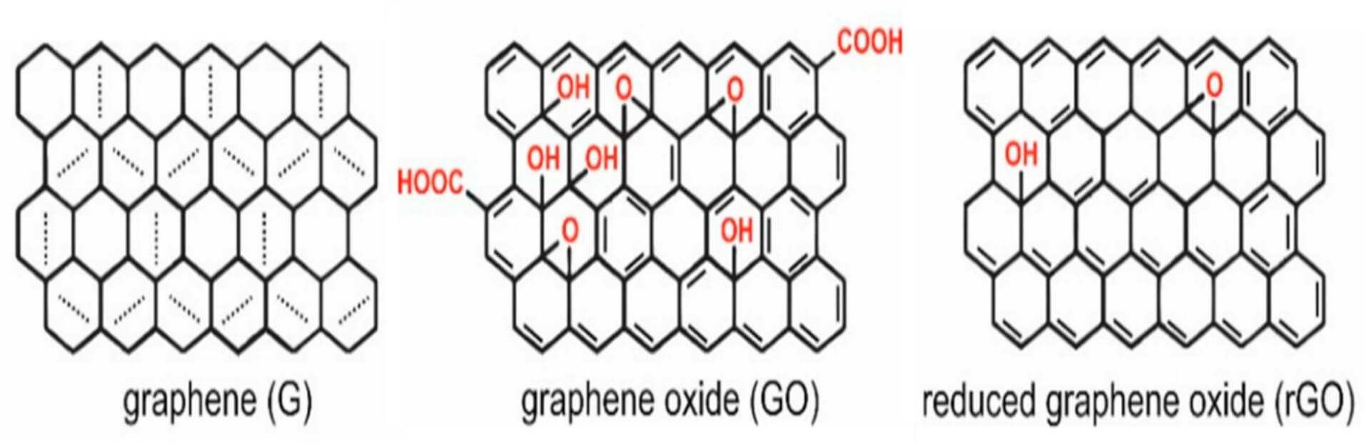 Structural comparison of graphene and graphene oxide (GO), highlighting oxygen-containing functional groups that differentiate GO from pure graphene (OA Literature)