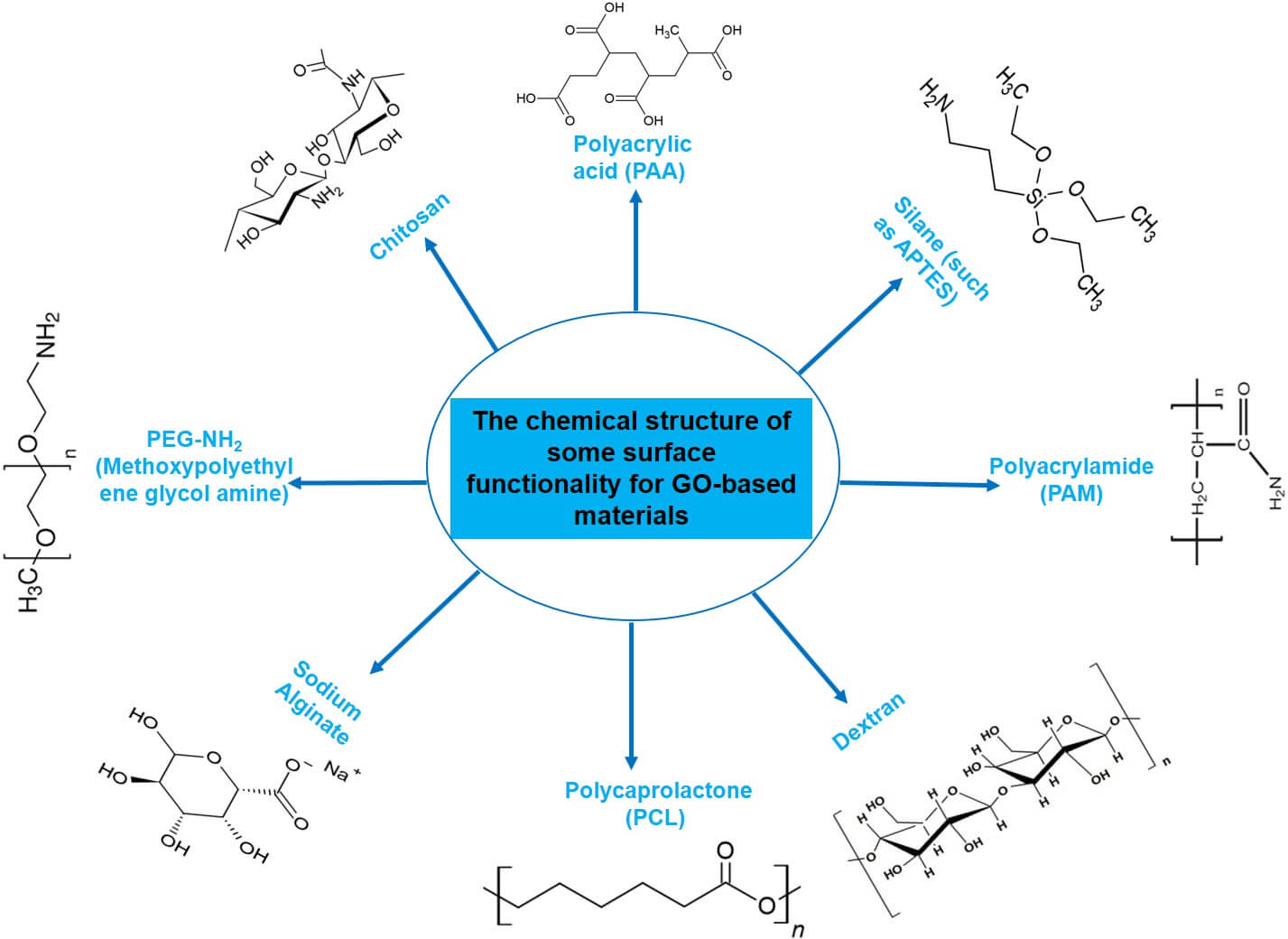 Diagram illustrating the functionalization of graphene oxide (GO) with various chemical groups, including chitosan, PEG-NH2, sodium alginate, polycaprolactone (PCL), dextran, polyacrylamide (PAM), polyacrylic acid (PAA), and silane (such as APTES) (OA Literature)