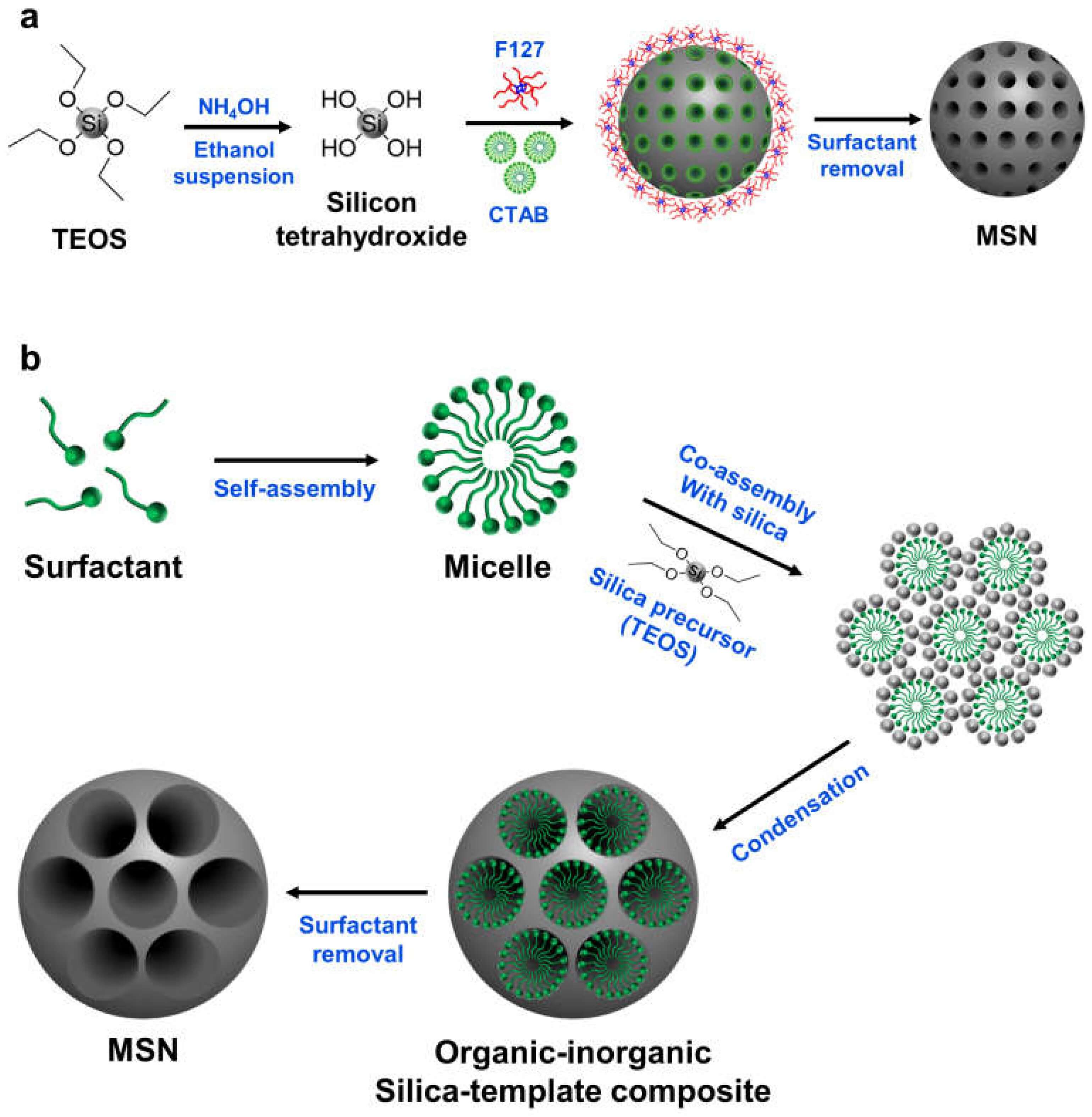 Illustration of the sol-gel method for mesoporous silica nanoparticle (MSN) synthesis: Shows surfactant self-assembling into micelles, coassembling with silica precursor (TEOS) to form an organic-inorganic silica-template composite, then surfactant removal to yield MSNs, explaining the synthesis mechanism for SEO article on nanoparticle-based delivery strategies. (OA Literature)