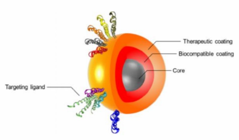 Fig.1 Illustration of magnetic nanoparticle structure for drug delivery: Shows core, biocompatible coating, therapeutic coating, and targeting ligands, explaining the components that enable targeted, smarter therapies in magnetic nanoparticle-based delivery strategies. (OA Literature)